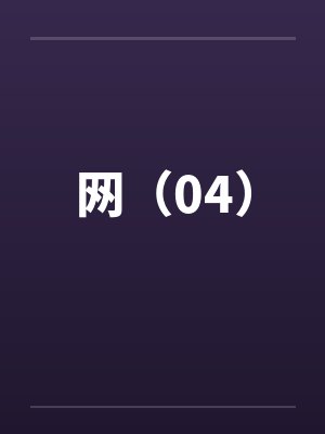 网（04）