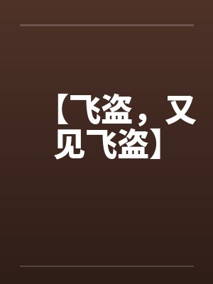 【飞盗，又见飞盗】
