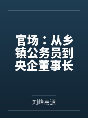 官场：从乡镇公务员到央企董事长