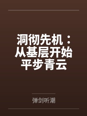 洞彻先机：从基层开始平步青云