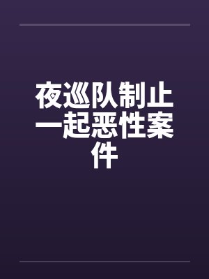 夜巡队制止一起恶性案件