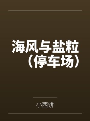 海风与盐粒（停车场）