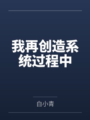 我再创造系统过程中by白小青